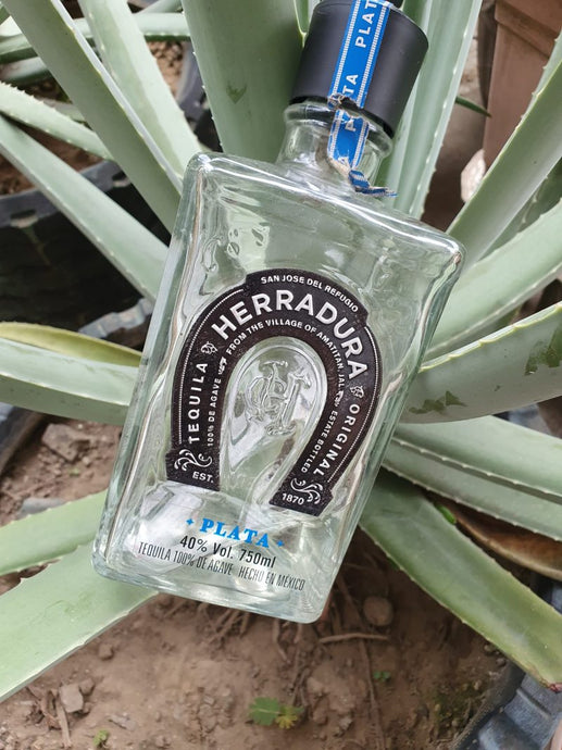 Herradura Plata Tequila