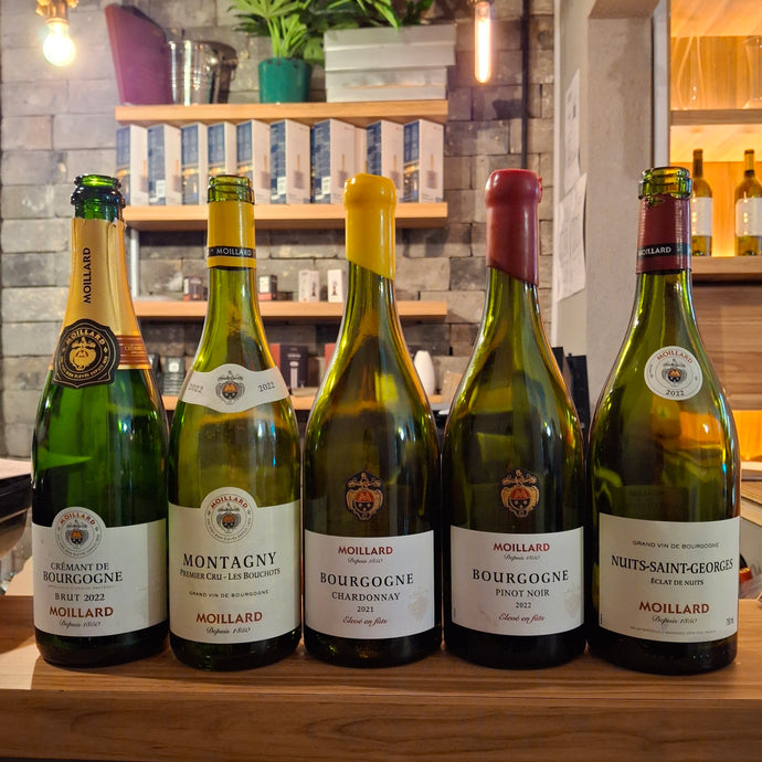 Taste Testing Maison Moillard's Diverse Range of White, Red & Sparkling Burgundy Wines