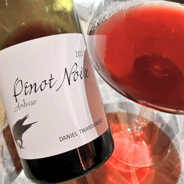 Taste Testing Daniel Twardowski's Ardoise Pinot Noix, The Unicorn Red From The Mosel