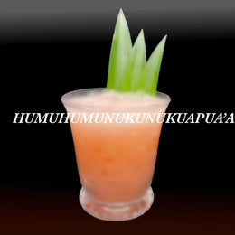 Humuhumunukunukuapua’a