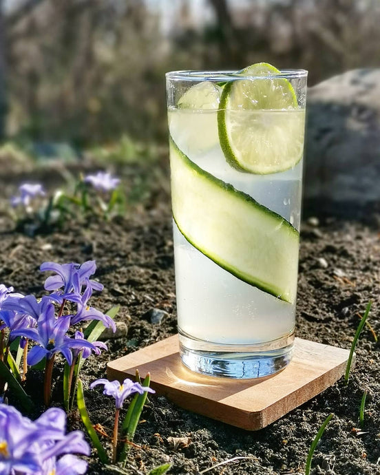Cucumber Gin Tonic⁣⁣⁣