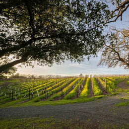 Wine Giant Marchesi Antinori Purchases Prized Napa Valley Arcadia Vineyard