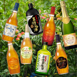 Taste Testing & Ranking Every Choya Umeshu: Organic, Genshu, Black, Craft Fruit, Uji Green Tea, Kokuto, Aged 3 Years & Ume Salute Sparkling