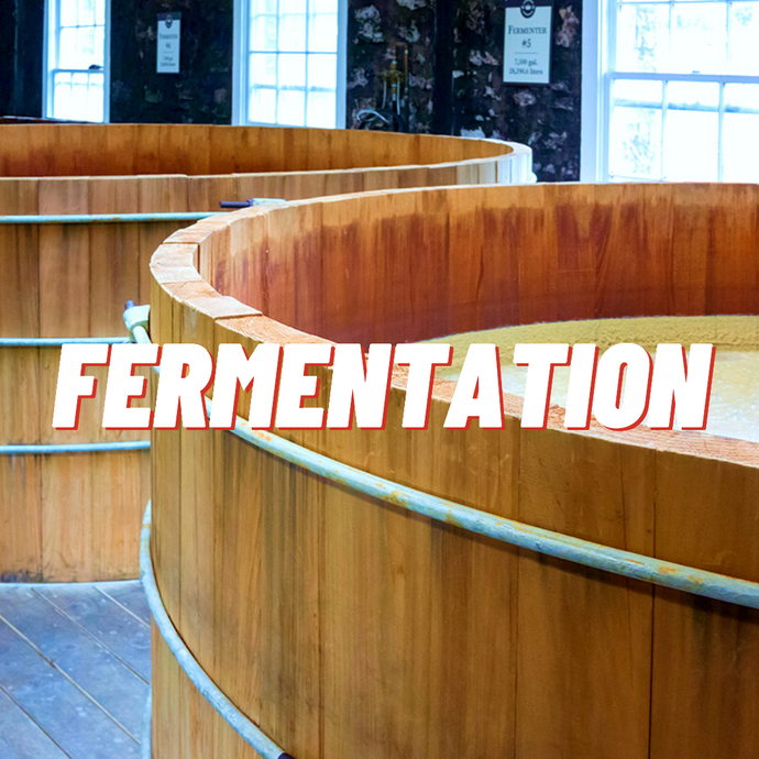 Fermentation