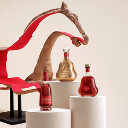 Hennessy Ushers In The Year of the Horse with Exclusive Limited Editions and Collaboration with Bee Cheng Hiang