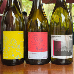 Xiaopu & Domaine de la Gyalthang 小圃/建塘: We Taste Test 5 Wines From China's Leading Cult Natural Winemaker