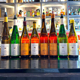 Taste Testing Rheinhessen Legend Weingut Keller’s Rieslings, Chardonnay & Spätburgunders