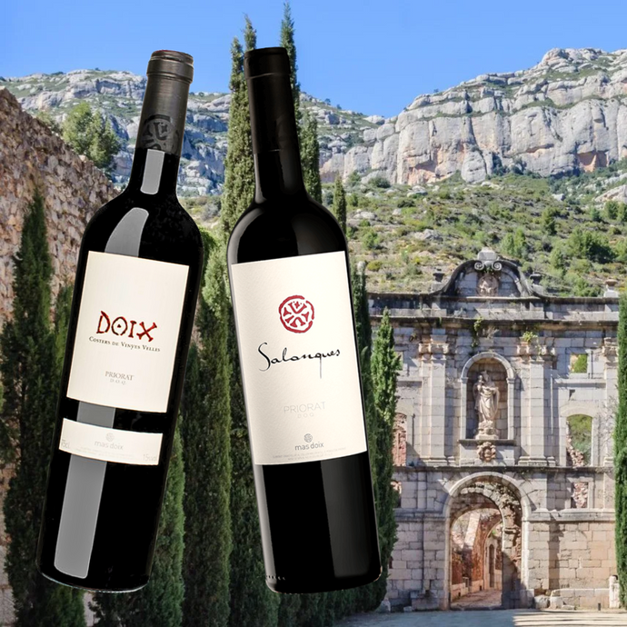 Taste Testing Priorat Reds With Mas Doix: Doix & Salanques