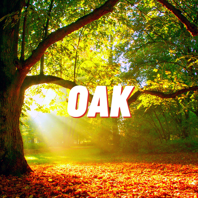 Oak