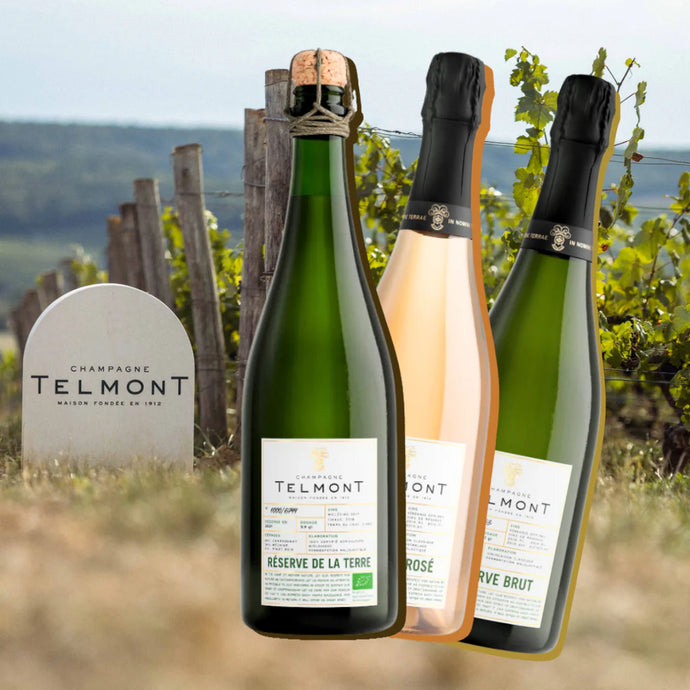 Champagne's Eco-Conscious Champion: Telmont Champagne