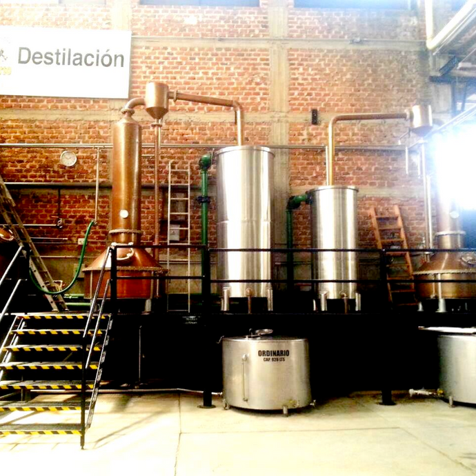 The Modern Tequila Production - Diffusers, Pot Stills & Column Stills