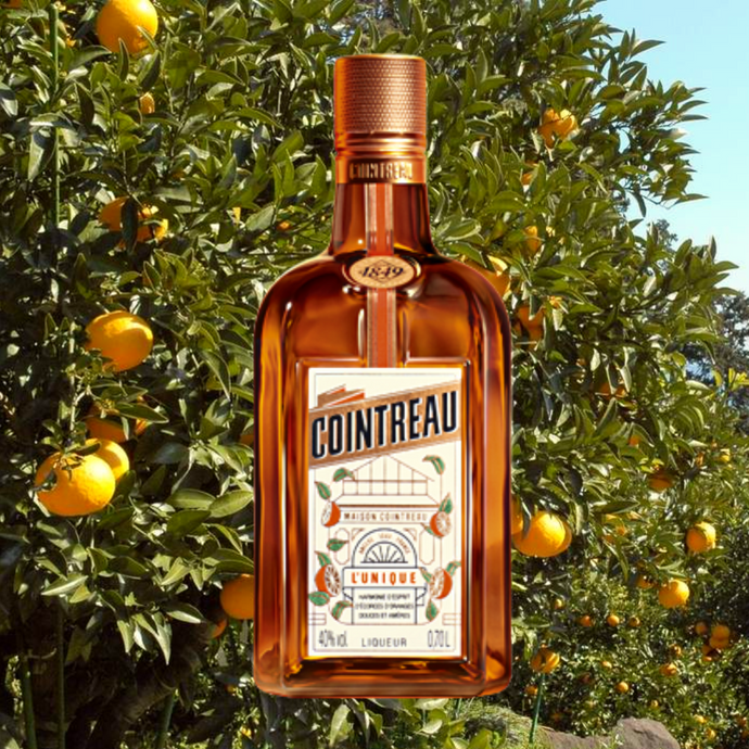 Cointreau’s Newly Revamped Bottle Design May Make You Feel Like You’re Entering an Orangery