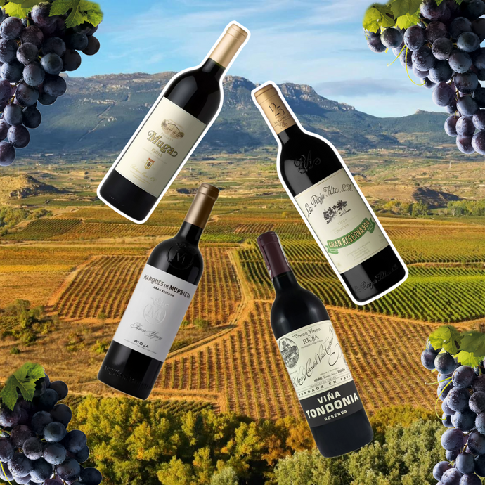 Spain’s Rioja Wines, Summarized: What You Need To Know About Spain's Wine Capital!