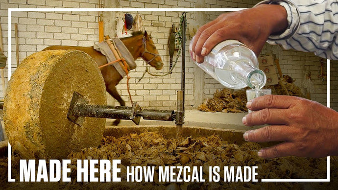 How Mezcal is Made