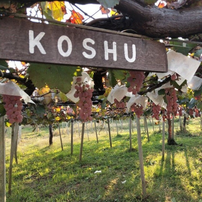 Japan Is Ready For The Wine World: Inside Yamanashi Where Koshu Is The Japanese Wine You Need To Know About