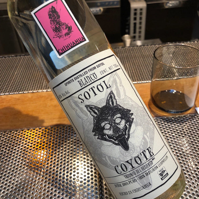 Taste Testing Sotol Coyote Chihuahua, 50% ABV