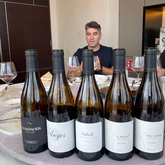 One Man's Mission To Bring Burgundy To Spanish Bierzo's 100 Year Old Vines: Tasting Through Cesar Marquez' La Salvacion Godello, Parajes, Valtuille, El Rapolao & Pico Ferreira