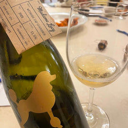 Taste Testing Gabrielskloof's Madame Lucy South African Methode Cap Classique Sparkling Brut